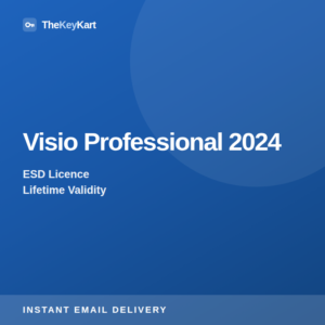 Visio Professional 2024 — digital licence key