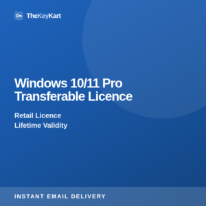 Windows 10/11 Pro Transferable Licence — sealed retail box