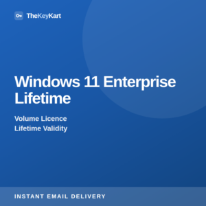 Windows 11 Enterprise Lifetime — digital licence key