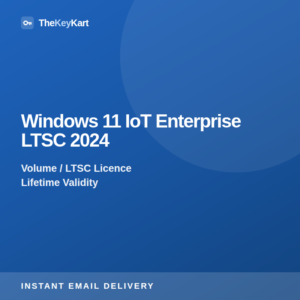 Windows 11 IoT Enterprise LTSC 2024 — digital licence key